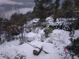 सुदूरपश्चिमका पहाडी तथा हिमाली जिल्लामा हिमपात सुदूरपश्चिमका पहाडी तथा हिमाली जिल्लामा हिमपात