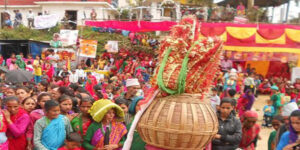 डडेल्धुरामा गौरा पर्व भदौ ७ गते मनाइने