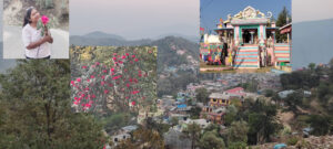 पहाडको मेरो पहिलो यात्रा