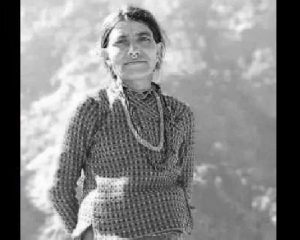 बाजुरामा गोठमा बस्दै आएकी एक महिलाको हत्या बाजुरामा गोठमा बस्दै आएकी एक महिलाको हत्या