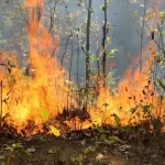 सुदूरपश्चिमको पन्ध्र प्रतिशत वन क्षेत्रमा डढेलो, चुरेमा नियन्त्रण चुनौतीपूर्ण