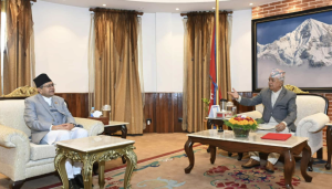 राष्ट्रपति र सभामुखबीच शीतल निवासमा भेटवार्ता 