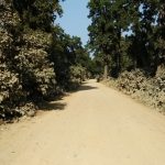 निर्माण कम्पनीले ढिलासुस्ति गर्दा अझै कालोपत्र हुन सकेन बेलौरी–कलुवापुर सडक निर्माण कम्पनीले ढिलासुस्ति गर्दा अझै कालोपत्र हुन सकेन बेलौरी–कलुवापुर सडक