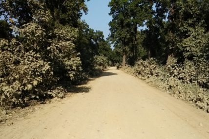 निर्माण कम्पनीले ढिलासुस्ति गर्दा अझै कालोपत्र हुन सकेन बेलौरी–कलुवापुर सडक