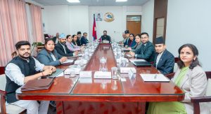 २०६२ यताका उच्च पदस्थको सम्पत्ति छानबिन गर्न आयोग गठन, राजेन्द्र भण्डारी संयोजक