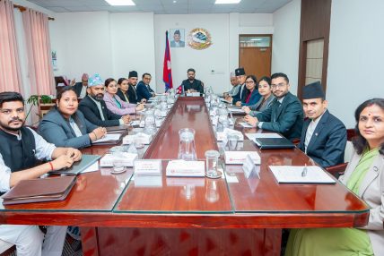 २०६२ यताका उच्च पदस्थको सम्पत्ति छानबिन गर्न आयोग गठन, राजेन्द्र भण्डारी संयोजक