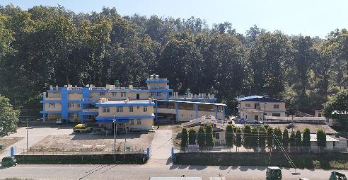 जोगबुडामा झाडापखालाले बालकको मृत्यु, तीन जना अस्पतालमा