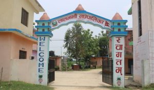 कञ्चनपुरको लालझाडीमा सिकलसेल पहिचान गरिँदै कञ्चनपुरको लालझाडीमा सिकलसेल पहिचान गरिँदै