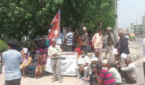 शुक्लाफाँटा निकुञ्जबाट विस्थापितको अभिलेख र जग्गा प्रमाणीकरण प्रक्रिया अघि बढ्ने शुक्लाफाँटा निकुञ्जबाट विस्थापितको अभिलेख र जग्गा प्रमाणीकरण प्रक्रिया अघि बढ्ने