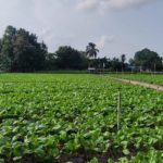 कृषि शिक्षा पढ्न विद्यार्थी उत्साहित