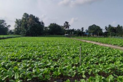 कृषि शिक्षा पढ्न विद्यार्थी उत्साहित