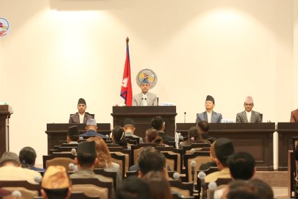 विनियोजन विधेयकका प्राथमिकता र सिद्धान्त प्रतिनिधिसभामा पेस