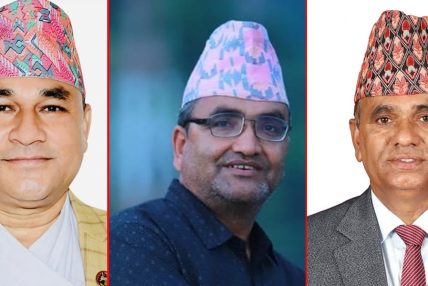 अल्पमतमा शाह सरकार, नयाँ गठबन्धनबारे तीव्र छलफल