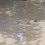 काठमाडौं-मुग्लिन जोड्ने पृथ्बी राजमार्ग आज दिउँसोसम्म सञ्चालनमा आउने
