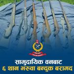 सामुदायिक वनबाट ६ थान भरुवा बन्दुक बरामद