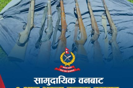 सामुदायिक वनबाट ६ थान भरुवा बन्दुक बरामद