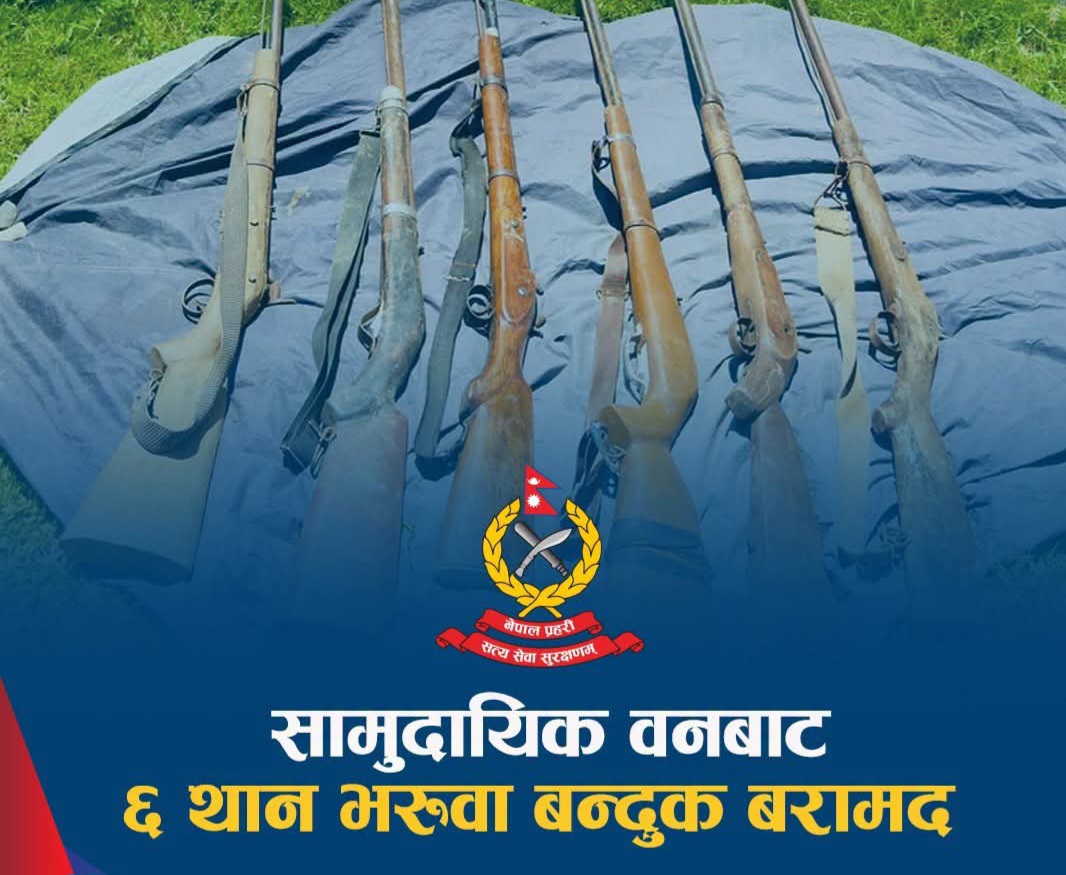 सामुदायिक वनबाट ६ थान भरुवा बन्दुक बरामद