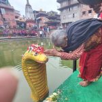 श्रावण शुक्ल पञ्चमीः नागको पूजा, आराधना गरी नागपञ्चमी पर्व मनाइँदै श्रावण शुक्ल पञ्चमीः नागको पूजा, आराधना गरी नागपञ्चमी पर्व मनाइँदै