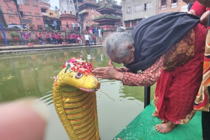 श्रावण शुक्ल पञ्चमीः नागको पूजा, आराधना गरी नागपञ्चमी पर्व मनाइँदै