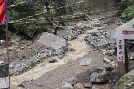 बाजुराको वीरेखोला बाढीः २३ परिवार विस्थापित, धानखेत बगरमा परिणत
