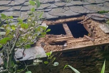 बैतडीमा जनप्रतिनिधि नै चोरीमा संलग्न ! वडा सदस्यसहित ४ जना समातिए
