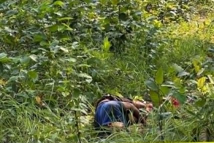 गौरीगंगामा बाघको आक्रमणबाट एक जनाको मृत्यु